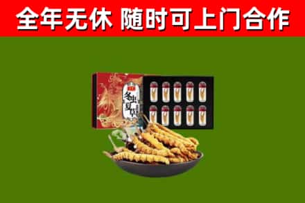 淅川烟酒回收冬虫夏草礼盒.jpg